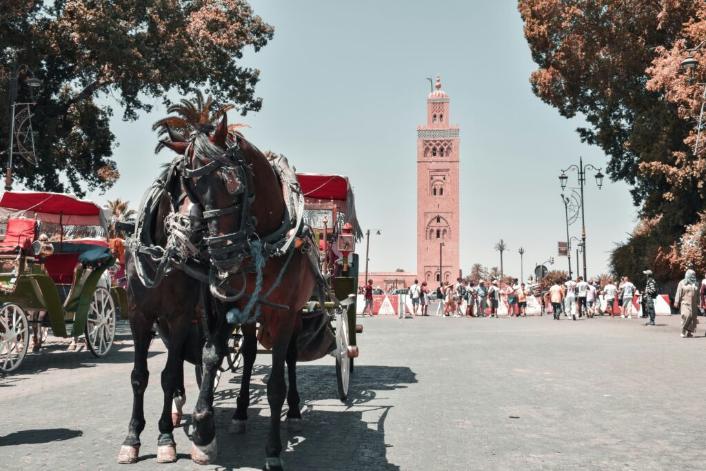 4 Days Tour From Marrakech 4 días desde Marrakech 4 giorni da Marrakech