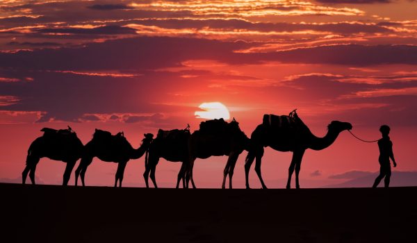 merzouga-at-night-scaled